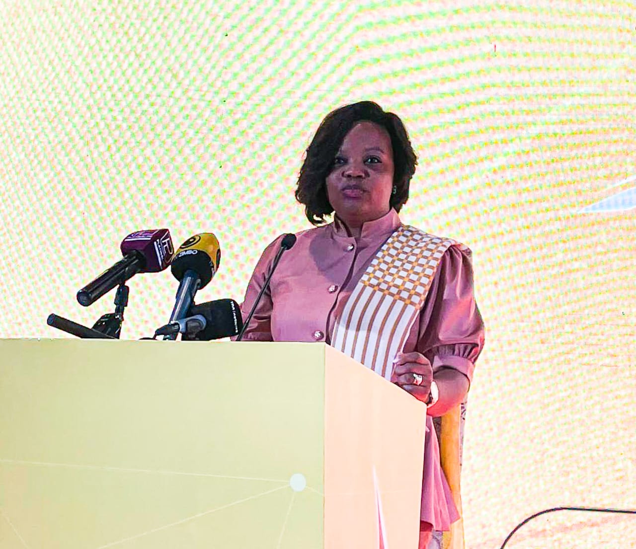 Executivo defende visão de longo prazo para fortalecer empreendedores angolanos